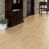 Kaindl Wild Oak - Easy Touch 8mm High Gloss Laminate Flooring (197311) -Flooring Sale Store wild oak easy touch 8mm high gloss laminate flooring 197311 p79008 182977 image